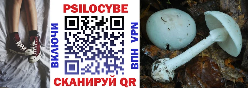 наркотики  Муром  Галлюциногенные грибы GOLDEN TEACHER 